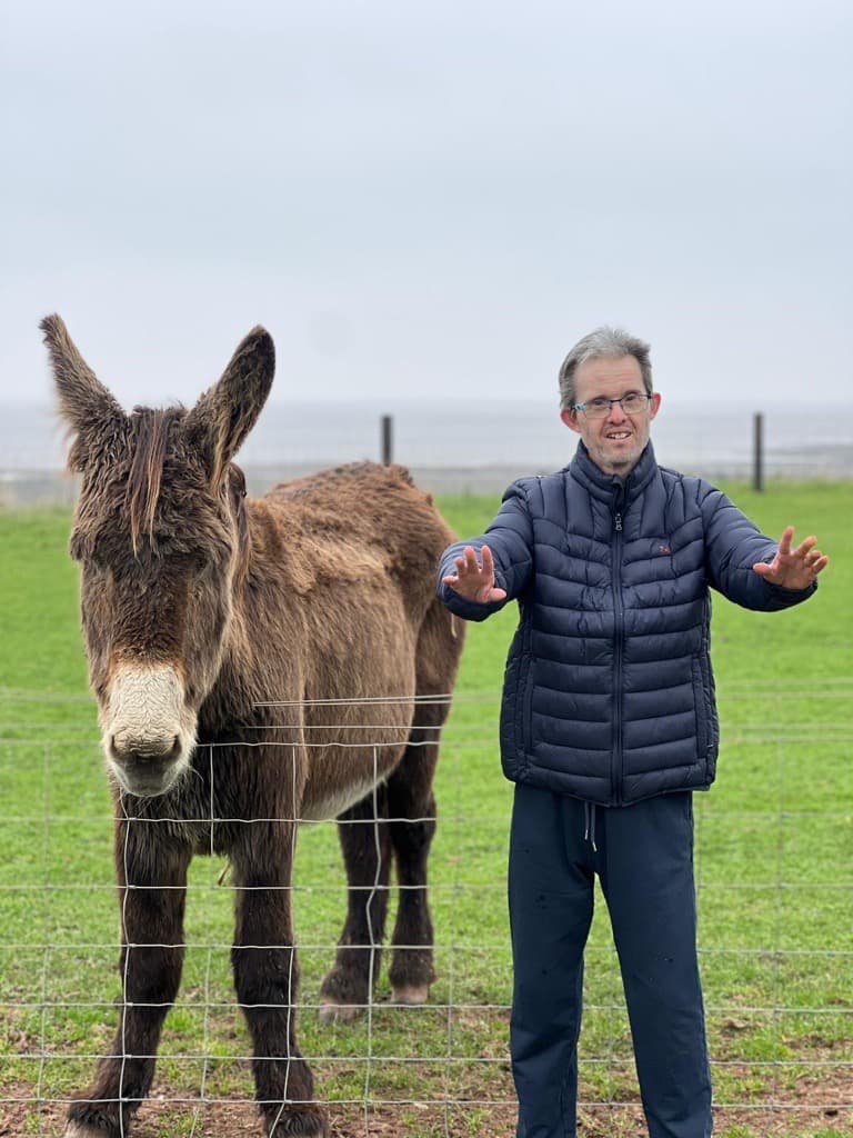 Meeting animals